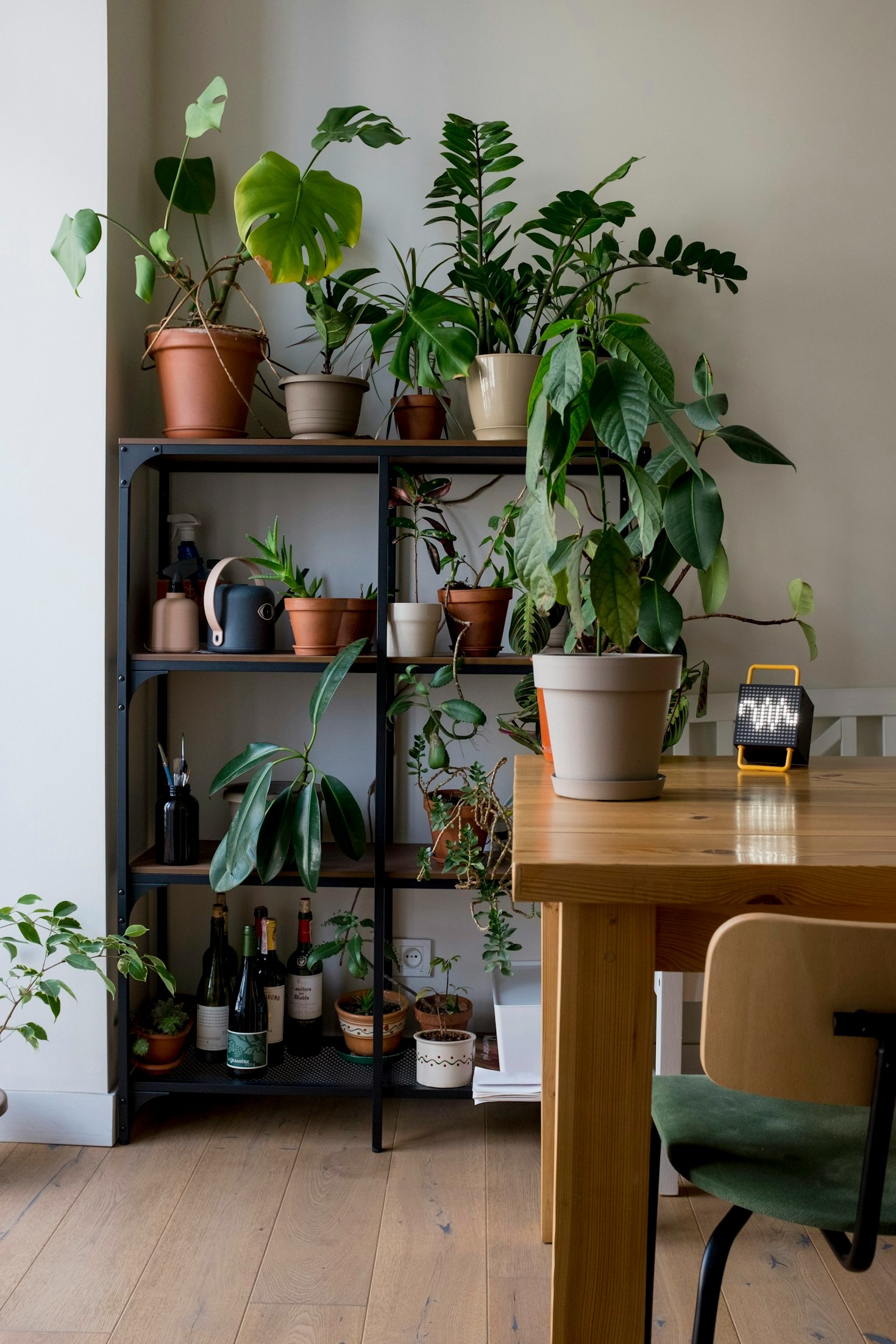 Budget-Friendly DIY Home Renovation Hacks